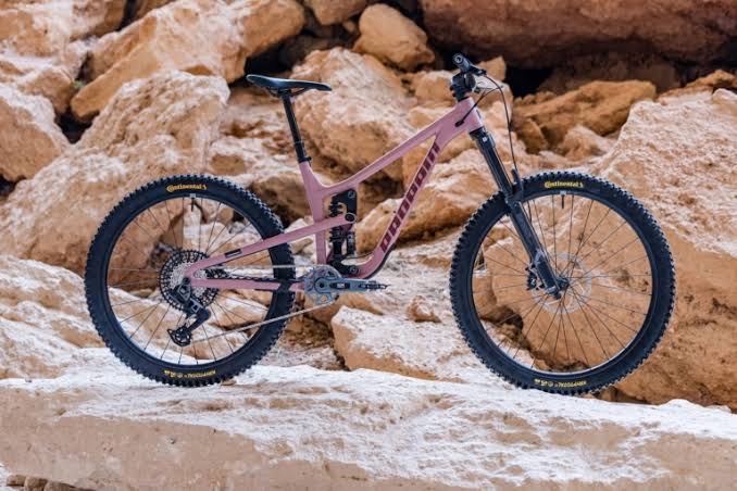 Mountainbike & Enduro – BrandauBikes